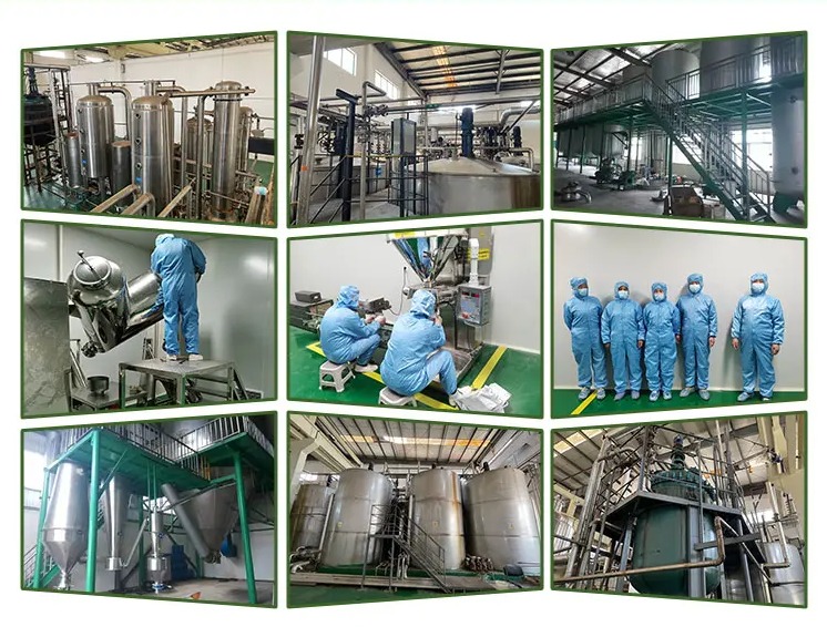 yeast-beta-glucan-factory