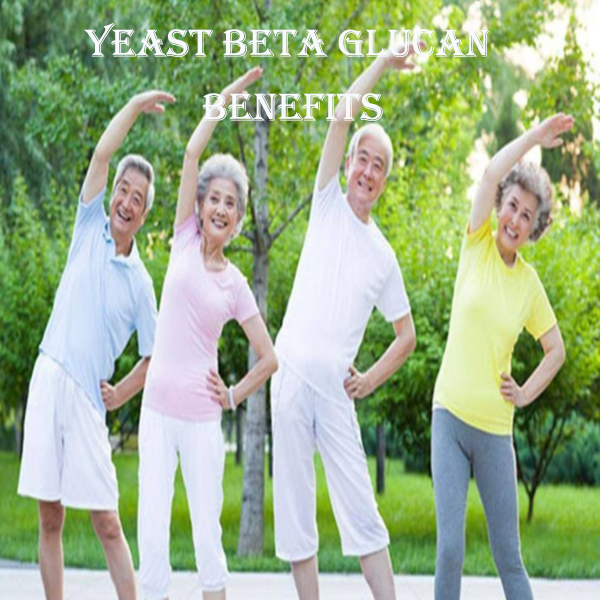Yeast beta glucan benefits