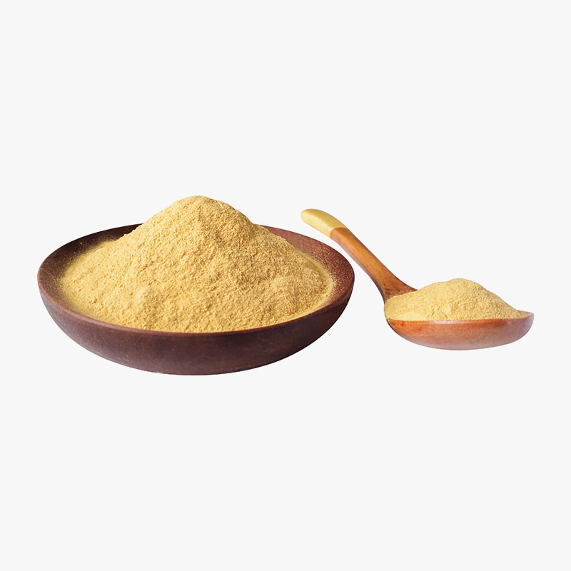 inactive-nutritional-yeast-powder