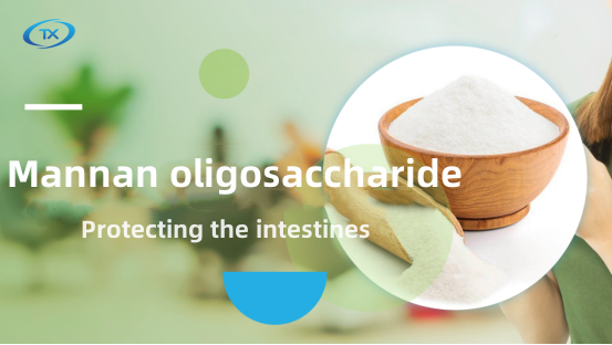 What is Mannan Oligosaccharide?