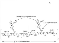 soluble beta glucan