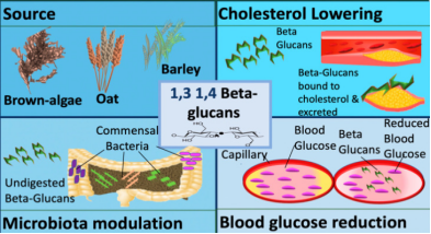 1.3,1.4 beta glucan