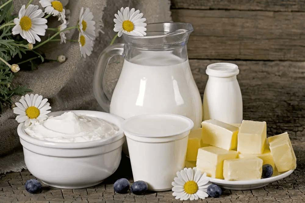 Dairy-products