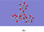 Three-dimensional structure of yeast beta glucan