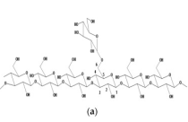 One-dimensional structures of yeast beta glucan