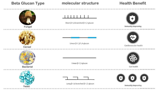 Beta Glucan from different sources