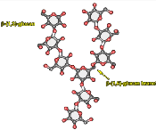 Molecular chain of yeast beta glucan