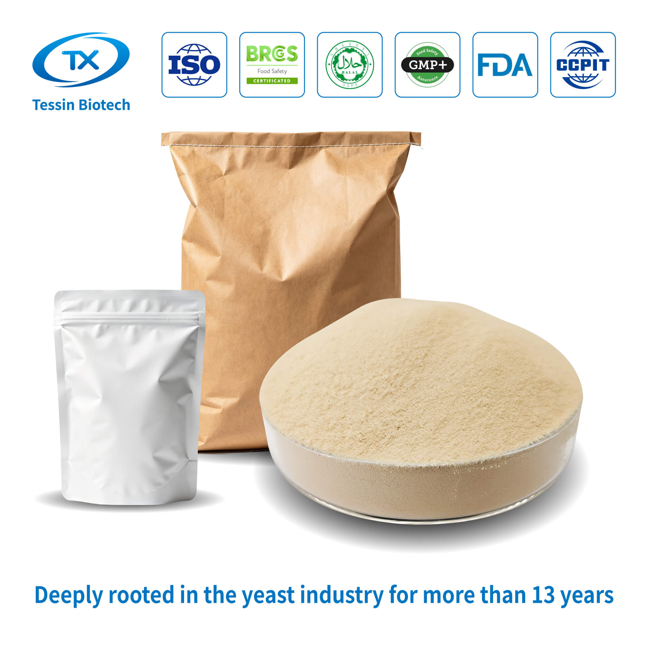 Yeast_Protein
